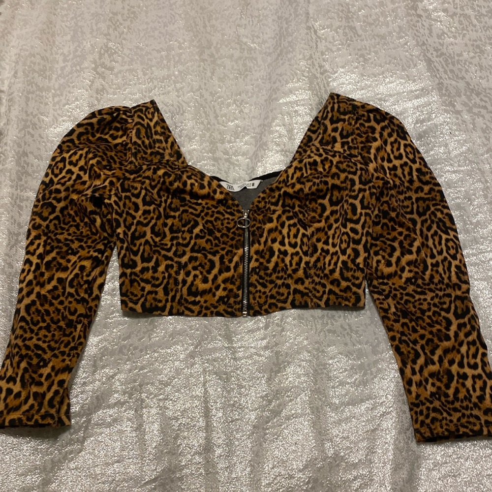 Zara leopard crop top